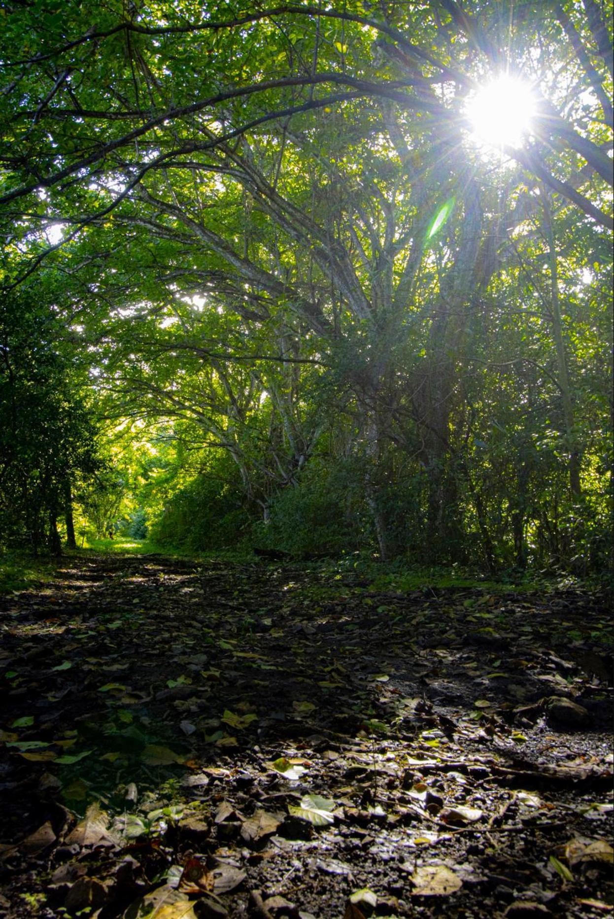 Cabinas La Fulanita Nicoya Bagian luar foto